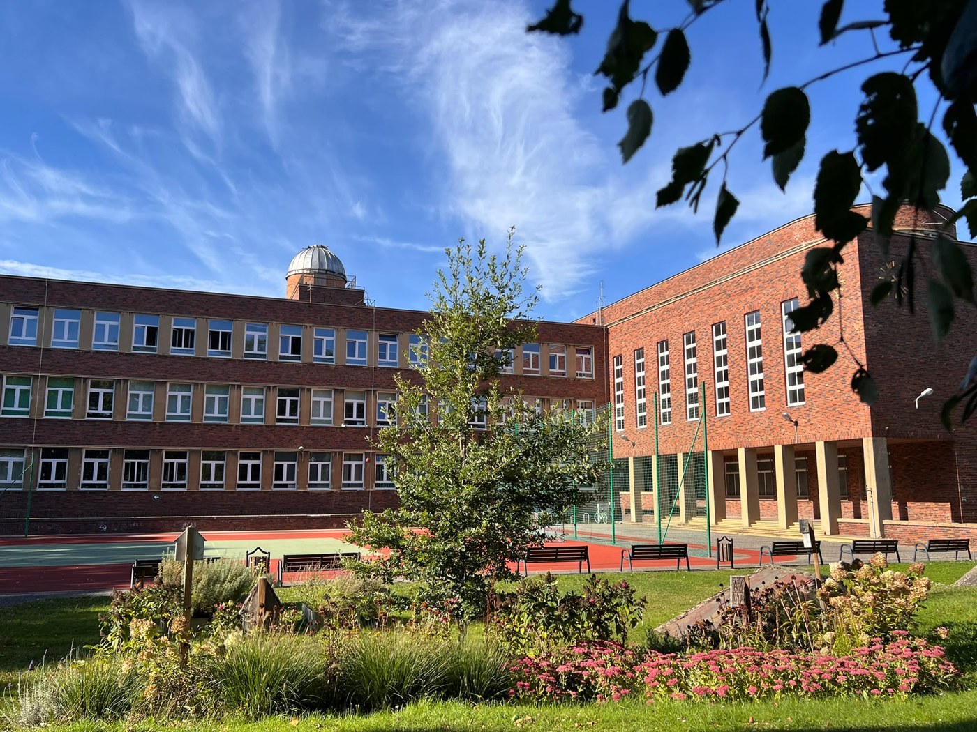 Kołobrzeg — nasz dąb na szkolnym dziedzińcu, wrzesień 2026